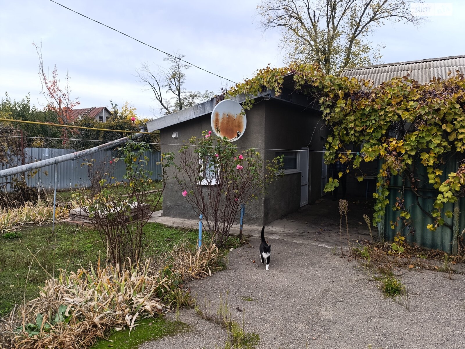 Продажа части дома в Одессе, улица Амбулаторная, район Черноморка, 3 комнаты фото 1 Продажа части дома в Одессе, улица Амбулаторная, район Черноморка, 3 комнаты фото 1