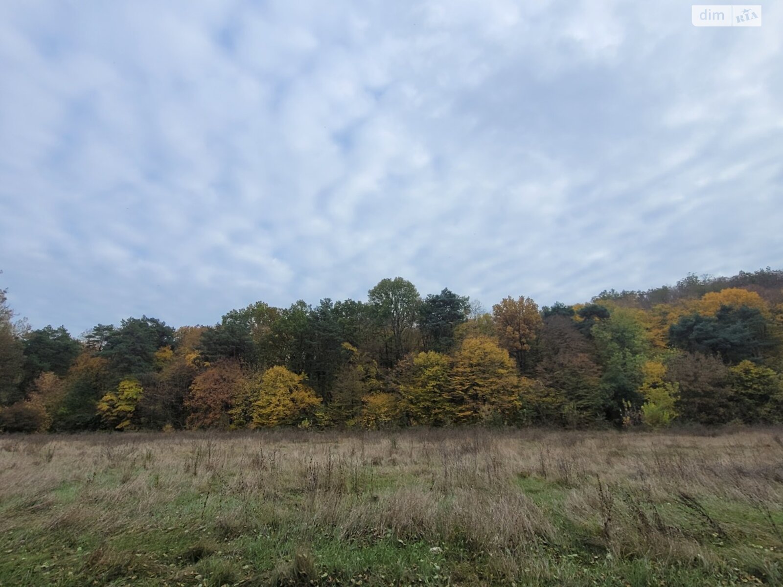 Продаж частини будинку в Сокільці, 8 Березня, 2 кімнати фото 1 Продаж частини будинку в Сокільці, 8 Березня, 2 кімнати фото 1