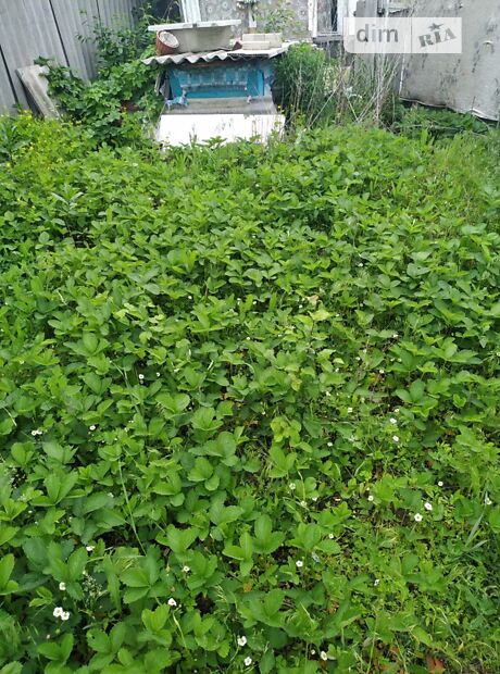 Продаж частини будинку в Сумах, вулиця Слов’янська, район Ковпаковський, 3 кімнати фото 1 Продаж частини будинку в Сумах, вулиця Слов’янська, район Ковпаковський, 3 кімнати фото 1