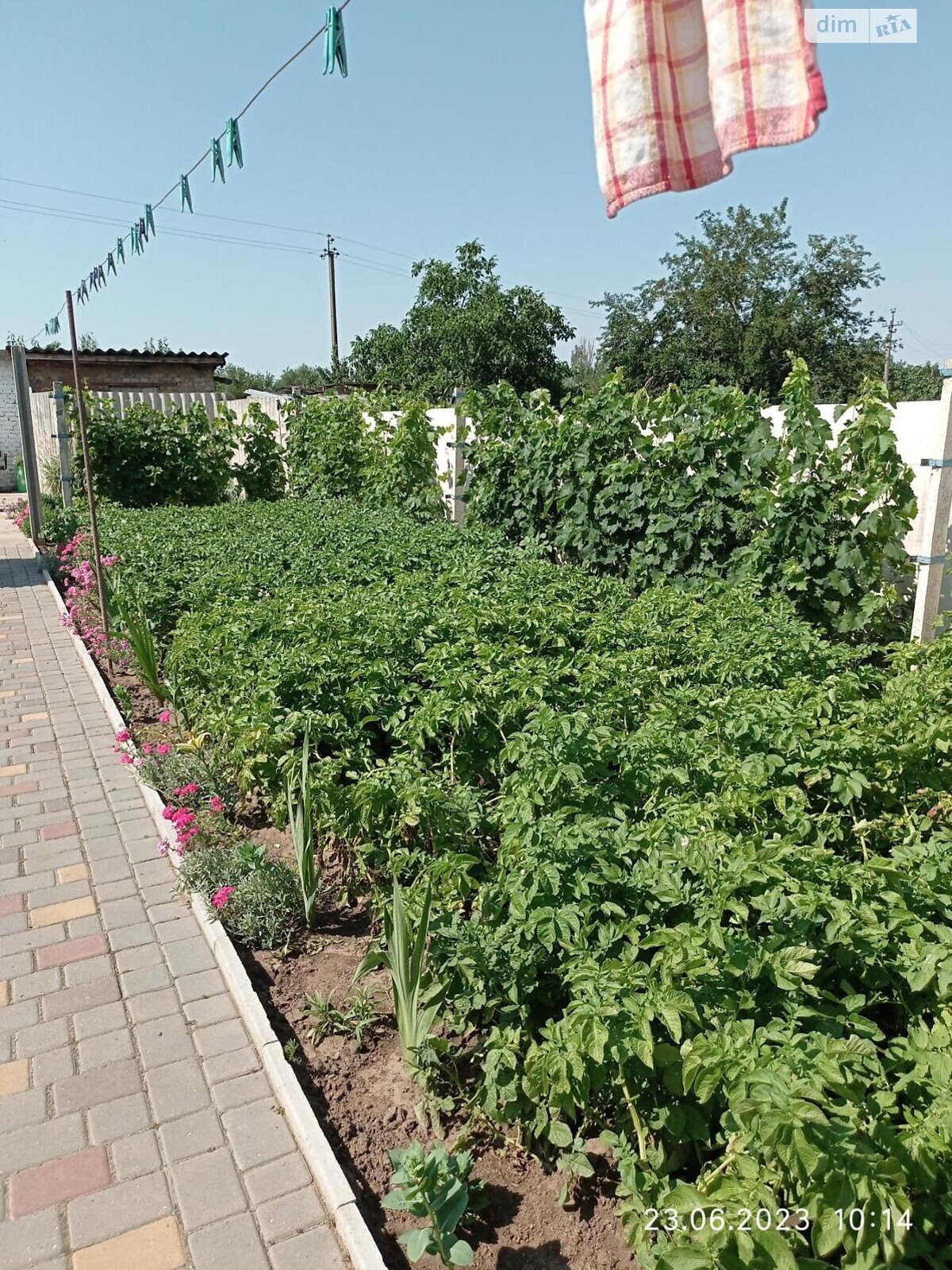 Продажа части дома в Святониколаевке, улица Троицкая (Ленина), 3 комнаты фото 1 Продажа части дома в Святониколаевке, улица Троицкая (Ленина), 3 комнаты фото 1