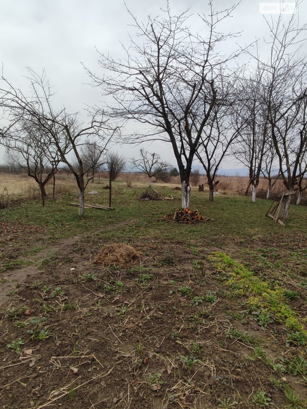 Продаж частини будинку в Великому Березному, вулиця Гожика 7, 2 кімнати фото 1