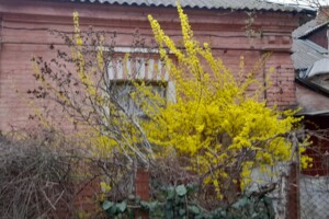 Продажа части дома в Виннице, улица Героев Нацгвардии (Некрасова) 71, район Ближнее замостье, 1 комната фото 2 Продажа части дома в Виннице, улица Героев Нацгвардии (Некрасова) 71, район Ближнее замостье, 1 комната фото 2