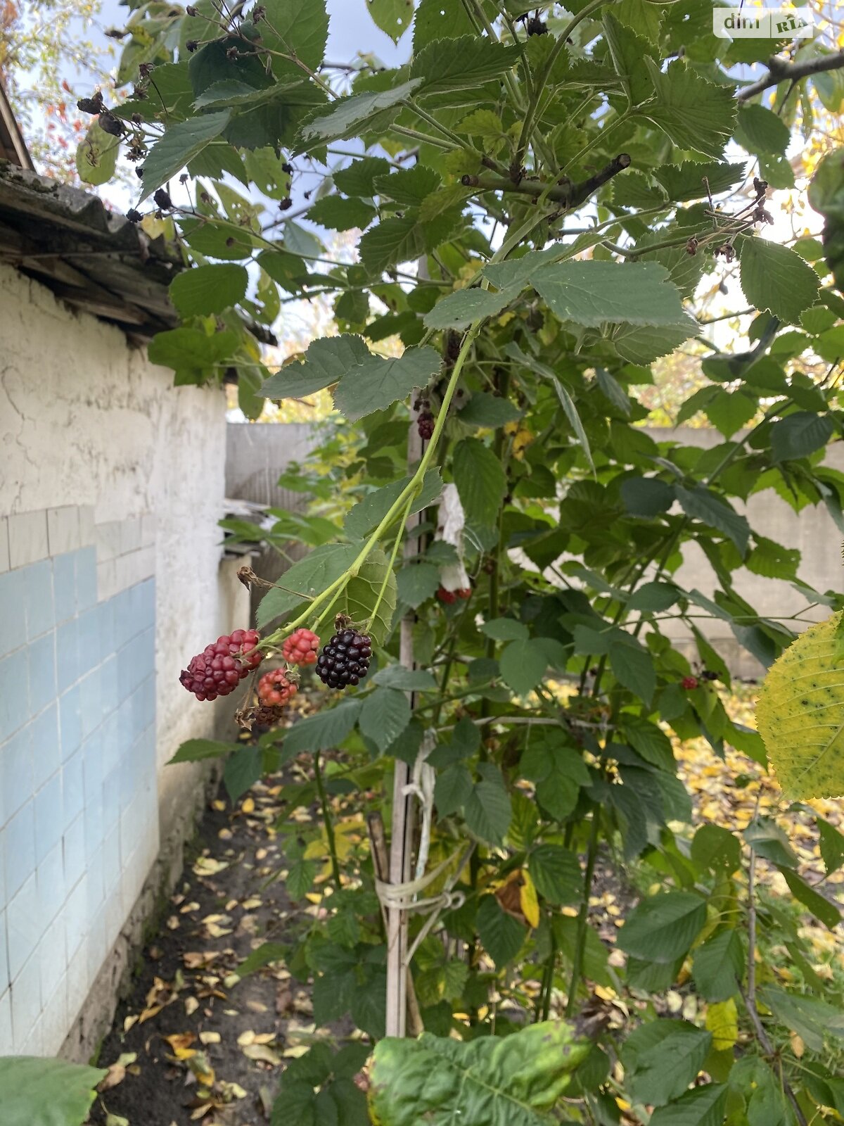 Продаж частини будинку в Вінниці, вулиця Героїв Крут (Червоних Курсантів), район Ближнє замостя, 2 кімнати фото 1 Продаж частини будинку в Вінниці, вулиця Героїв Крут (Червоних Курсантів), район Ближнє замостя, 2 кімнати фото 1