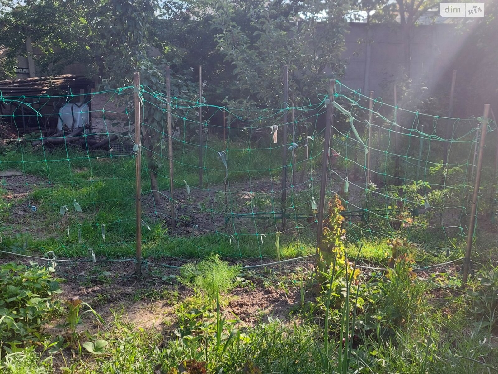 Продаж частини будинку в Вінниці, район Бучми, 6 кімнат фото 1 Продаж частини будинку в Вінниці, район Бучми, 6 кімнат фото 1