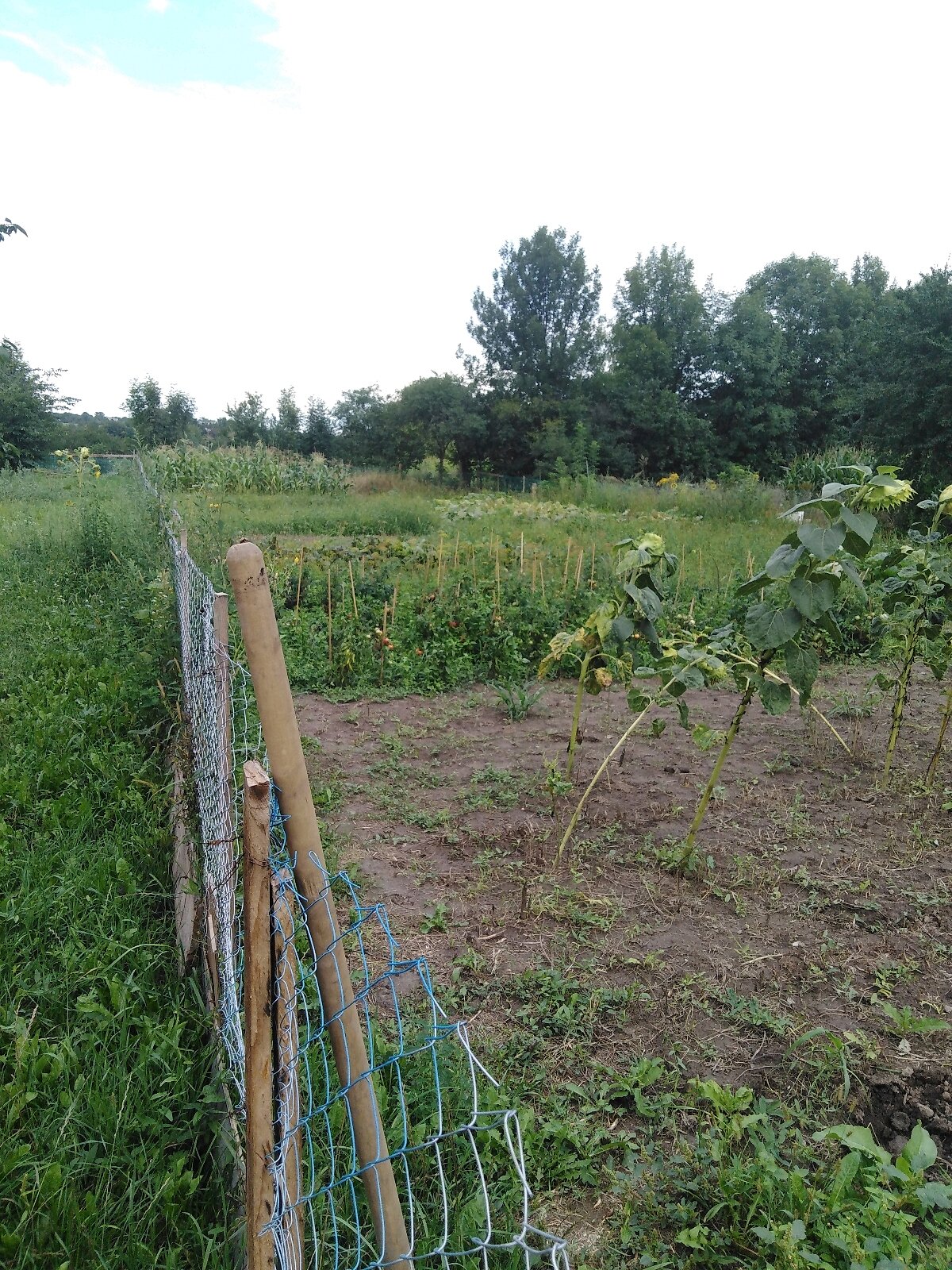 Продаж частини будинку в Вінниці, провулок Лермонтова, район Корея, 2 кімнати фото 1