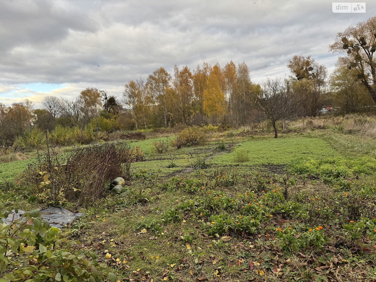 Продаж частини будинку в Вінниці, площа Івана Богуна 124, район П’ятничани, 2 кімнати фото 1 Продаж частини будинку в Вінниці, площа Івана Богуна 124, район П’ятничани, 2 кімнати фото 1