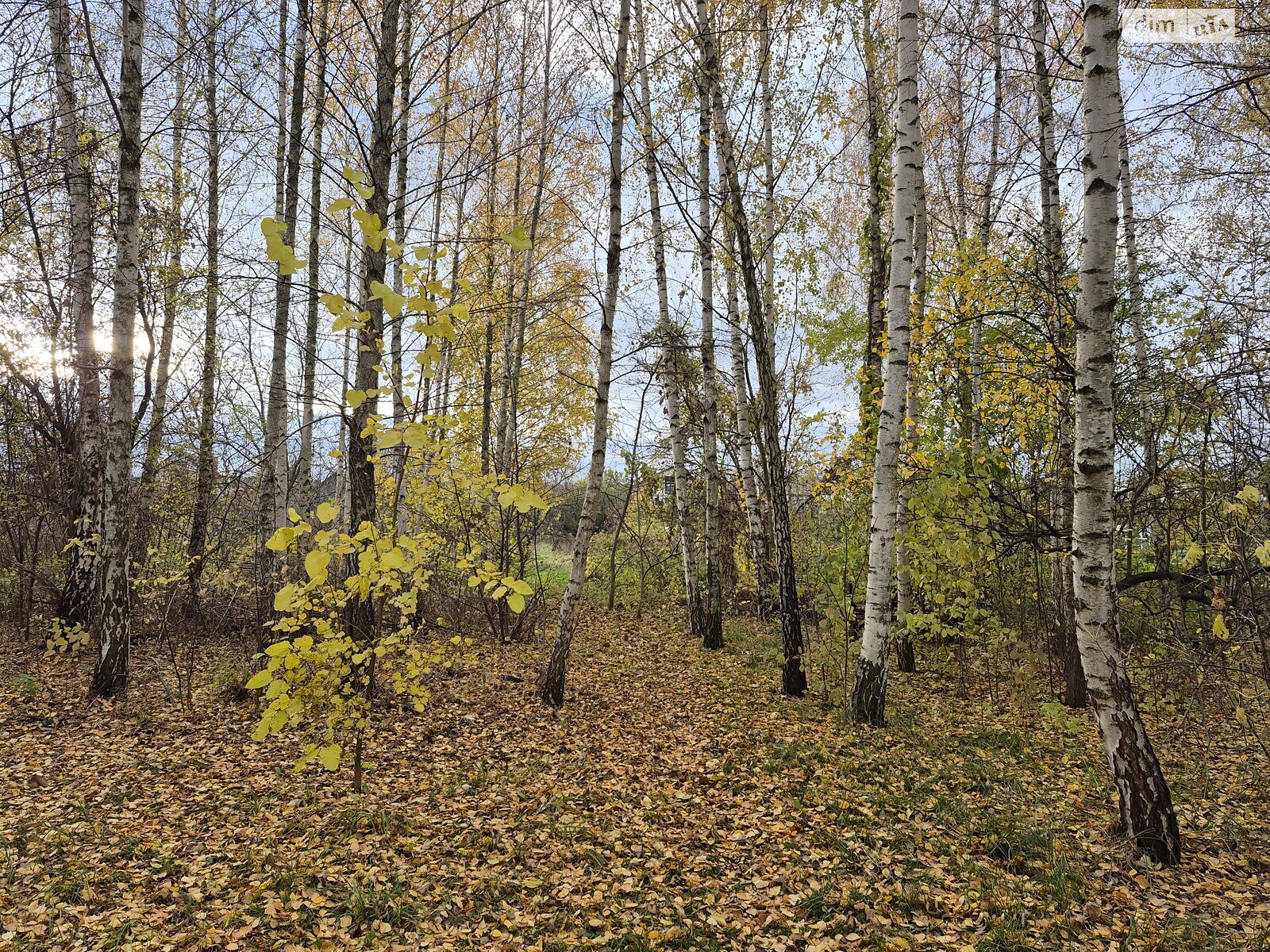 Продаж частини будинку в Вінниці, вулиця Івана Богуна, район П’ятничани, 2 кімнати фото 1 Продаж частини будинку в Вінниці, вулиця Івана Богуна, район П’ятничани, 2 кімнати фото 1