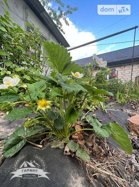 Продажа части дома в Виннице, улица Агатангела Крымского (Ленских Событий), район Славянка, 3 комнаты фото 1 Продажа части дома в Виннице, улица Агатангела Крымского (Ленских Событий), район Славянка, 3 комнаты фото 1