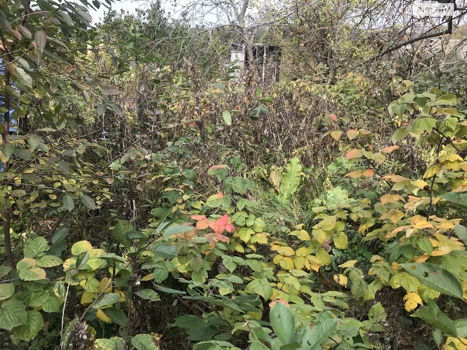 Продаж частини будинку в Вінниці, вулиця Антона Турчановича (Тухачевського), район Староміський, 3 кімнати фото 1 Продаж частини будинку в Вінниці, вулиця Антона Турчановича (Тухачевського), район Староміський, 3 кімнати фото 1