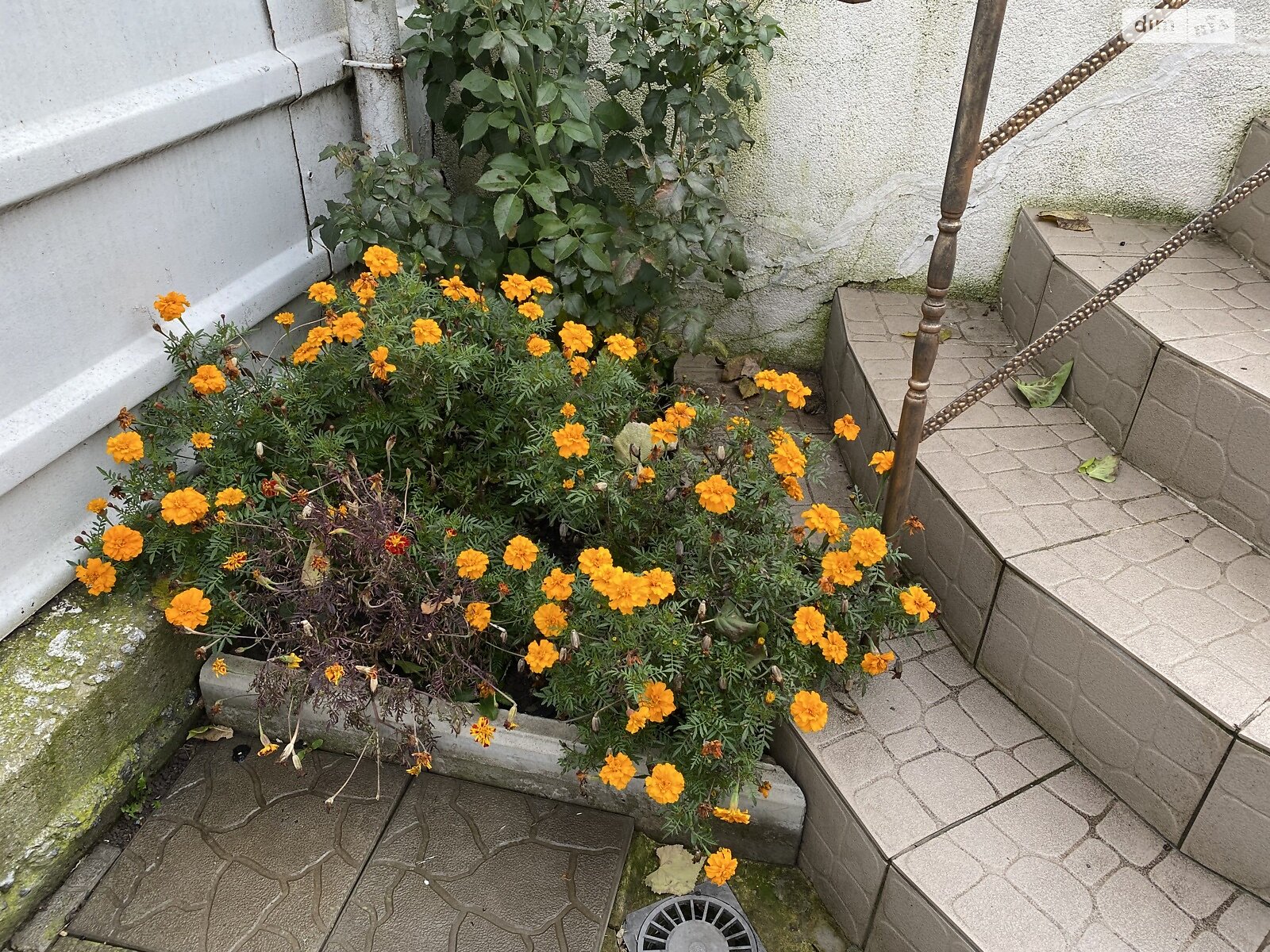 Продажа части дома в Виннице, улица Степана Тимошенка (Якира), район Тяжилов, 2 комнаты фото 1 Продажа части дома в Виннице, улица Степана Тимошенка (Якира), район Тяжилов, 2 комнаты фото 1