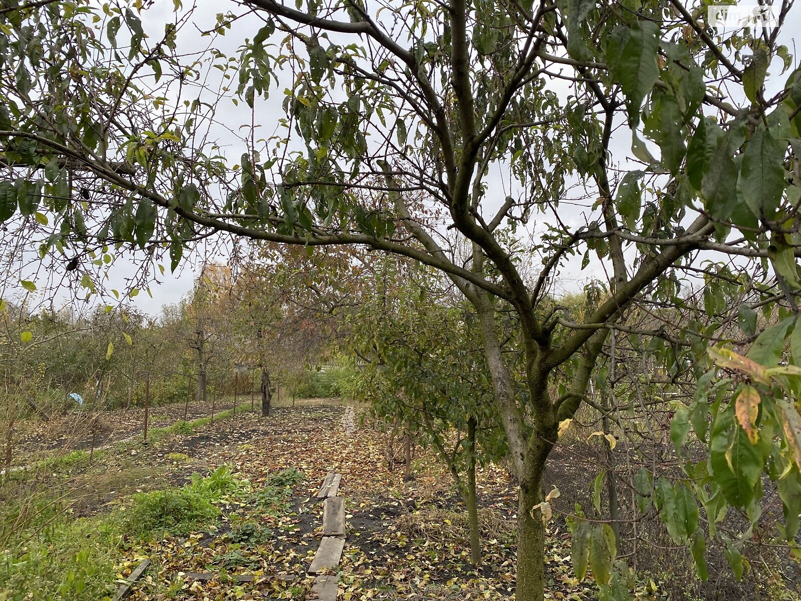 Продажа части дома в Виннице, улица Степана Тимошенка (Якира), район Тяжилов, 2 комнаты фото 1 Продажа части дома в Виннице, улица Степана Тимошенка (Якира), район Тяжилов, 2 комнаты фото 1