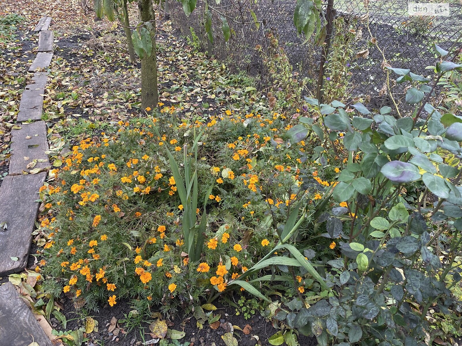 Продажа части дома в Виннице, улица Степана Тимошенка (Якира), район Тяжилов, 2 комнаты фото 1 Продажа части дома в Виннице, улица Степана Тимошенка (Якира), район Тяжилов, 2 комнаты фото 1