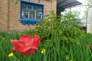Продажа части дома в Виннице, улица Гуцала Евгения (Паши Ангелиной) 20, район Замостянский, 3 комнаты фото 2