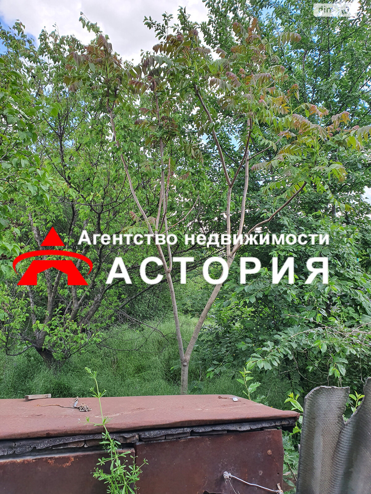 Продажа части дома в Запорожье, район Зеленый Яр, 3 комнаты фото 1 Продажа части дома в Запорожье, район Зеленый Яр, 3 комнаты фото 1