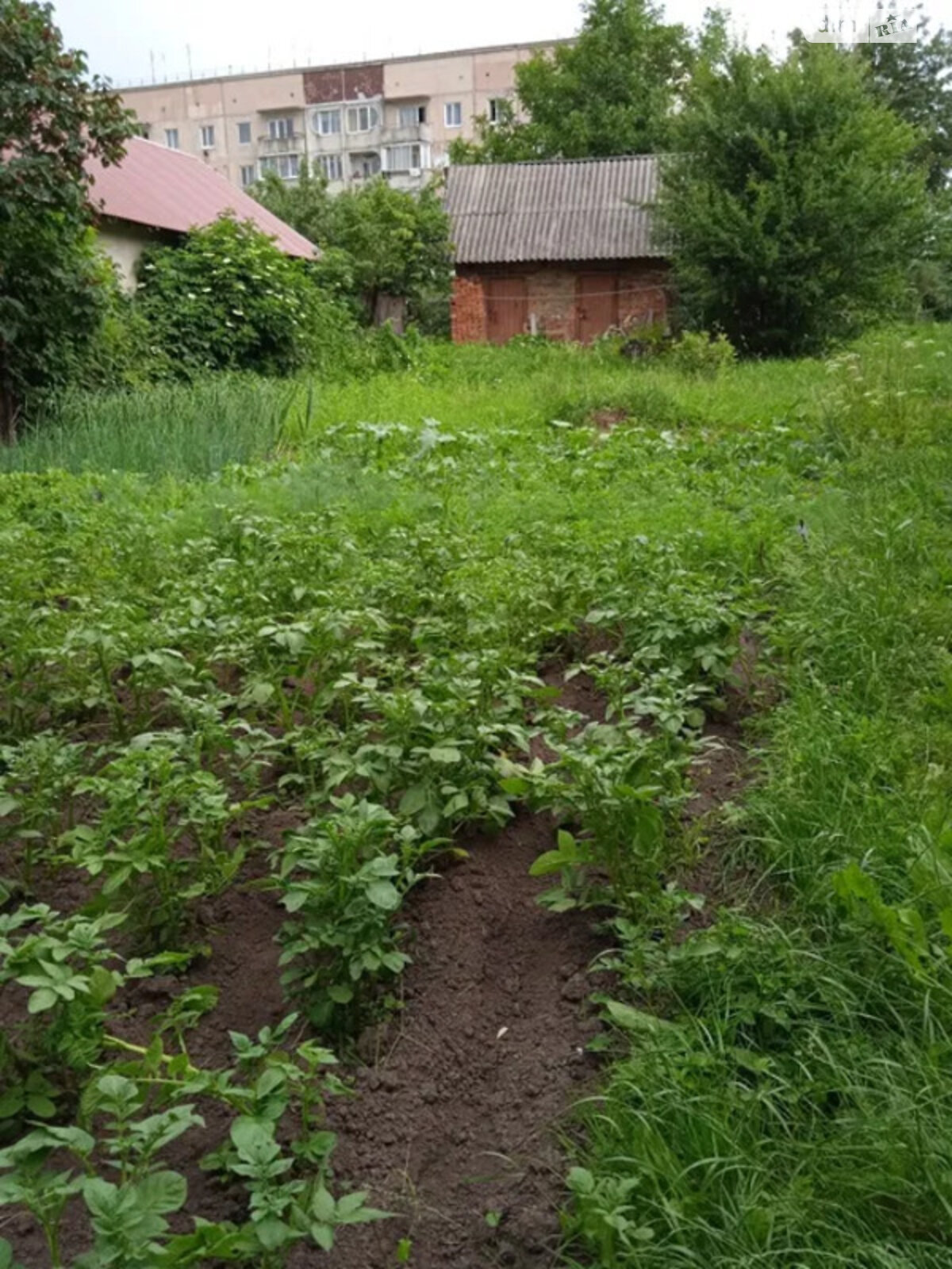 Продажа части дома в Зборове, улица Котляревского, 2 комнаты фото 1 Продажа части дома в Зборове, улица Котляревского, 2 комнаты фото 1