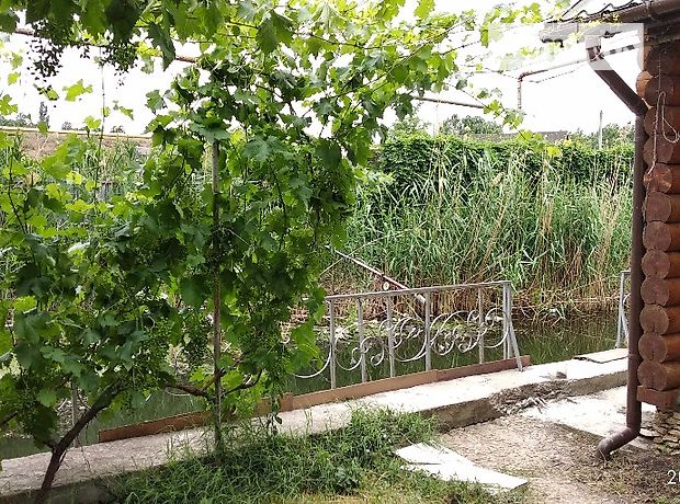 Продажа дачи, 120м², Одесская, Беляевка, c. Маяки Продажа дачи, 120м², Одесская, Беляевка, c. Маяки