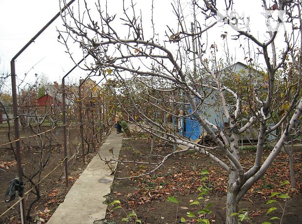 Продажа дачи, 15м², Запорожская, Бердянск, р‑н. АКЗ, Сот Гидравлик Продажа дачи, 15м², Запорожская, Бердянск, р‑н. АКЗ, Сот Гидравлик