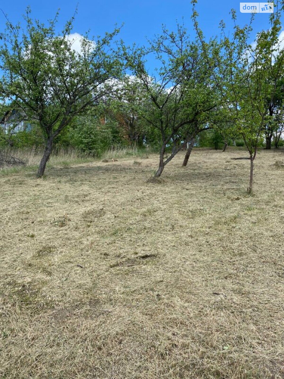 двоповерховий будинок без меблів, 80 кв. м, цегла. Продаж у Висічці фото 1 двоповерховий будинок без меблів, 80 кв. м, цегла. Продаж у Висічці фото 1
