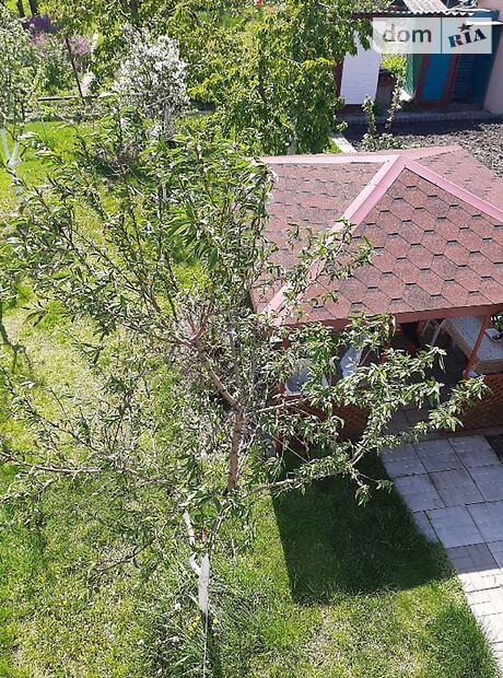трехкомнатная дача с цокольным этажом, 55 кв. м, кирпич. Продажа в Червоной Слободе (Черкасская обл.) фото 1 трехкомнатная дача с цокольным этажом, 55 кв. м, кирпич. Продажа в Червоной Слободе (Черкасская обл.) фото 1