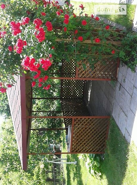трехкомнатная дача с цокольным этажом, 55 кв. м, кирпич. Продажа в Червоной Слободе (Черкасская обл.) фото 1 трехкомнатная дача с цокольным этажом, 55 кв. м, кирпич. Продажа в Червоной Слободе (Черкасская обл.) фото 1