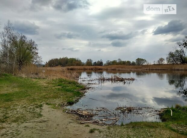 четырехкомнатная дача c мансардным этажом, 90 кв. м, каркасно-щитовой. Продажа в Лозовке (Черкасская обл.) фото 1 четырехкомнатная дача c мансардным этажом, 90 кв. м, каркасно-щитовой. Продажа в Лозовке (Черкасская обл.) фото 1