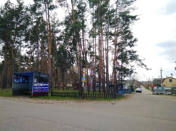 четырехкомнатная дача c мансардным этажом, 90 кв. м, каркасно-щитовой. Продажа в Лозовке (Черкасская обл.) фото 1 четырехкомнатная дача c мансардным этажом, 90 кв. м, каркасно-щитовой. Продажа в Лозовке (Черкасская обл.) фото 1