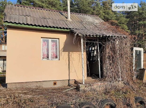 однокомнатная дача c мансардным этажом, 24 кв. м, кирпич. Продажа в Чернигове, в районе Старая Подусовка фото 1 однокомнатная дача c мансардным этажом, 24 кв. м, кирпич. Продажа в Чернигове, в районе Старая Подусовка фото 1