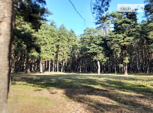 однокомнатная дача, 24 кв. м, кирпич. Продажа в Чернигове, в районе Старая Подусовка фото 1 однокомнатная дача, 24 кв. м, кирпич. Продажа в Чернигове, в районе Старая Подусовка фото 1