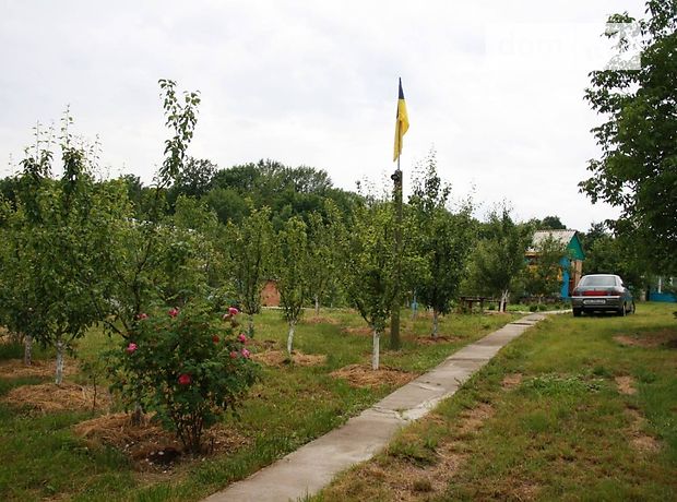 двокімнатна дача, 35 кв. м, цегла. Продаж в Шабельні (Вінницька обл.) фото 1 двокімнатна дача, 35 кв. м, цегла. Продаж в Шабельні (Вінницька обл.) фото 1