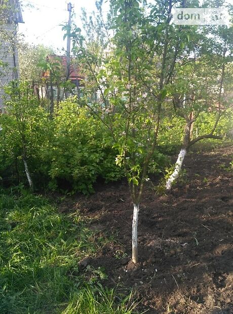 четырехкомнатная дача, 120 кв. м, каркасно-щитовой. Продажа в Солнечном (Житомирская обл.) фото 1 четырехкомнатная дача, 120 кв. м, каркасно-щитовой. Продажа в Солнечном (Житомирская обл.) фото 1