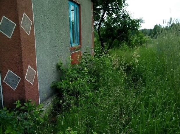 однокомнатная дача, 30 кв. м, кирпич. Продажа в Туровце (Житомирская обл.) фото 1 однокомнатная дача, 30 кв. м, кирпич. Продажа в Туровце (Житомирская обл.) фото 1