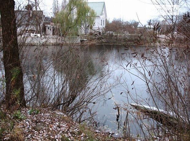 трикімнатна дача, 50 кв. м, кирпич. Продаж в Києві, в районі Дарницький фото 1 трикімнатна дача, 50 кв. м, кирпич. Продаж в Києві, в районі Дарницький фото 1