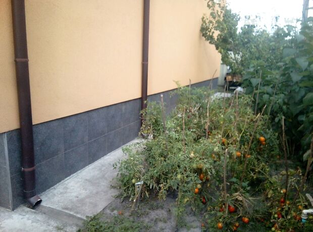 шестикімнатна дача з мансардним поверхом, 200 кв. м, газобетон. Продаж в Києві, в районі Оболонь фото 1 шестикімнатна дача з мансардним поверхом, 200 кв. м, газобетон. Продаж в Києві, в районі Оболонь фото 1