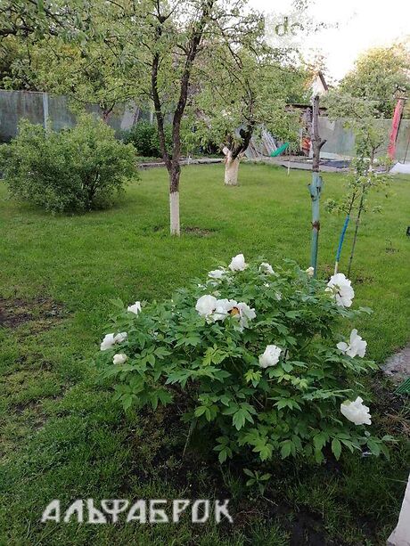 п`ятикімнатна дача, 140 кв. м, кирпич. Продаж в Києві, в районі Осокорки фото 1 п`ятикімнатна дача, 140 кв. м, кирпич. Продаж в Києві, в районі Осокорки фото 1