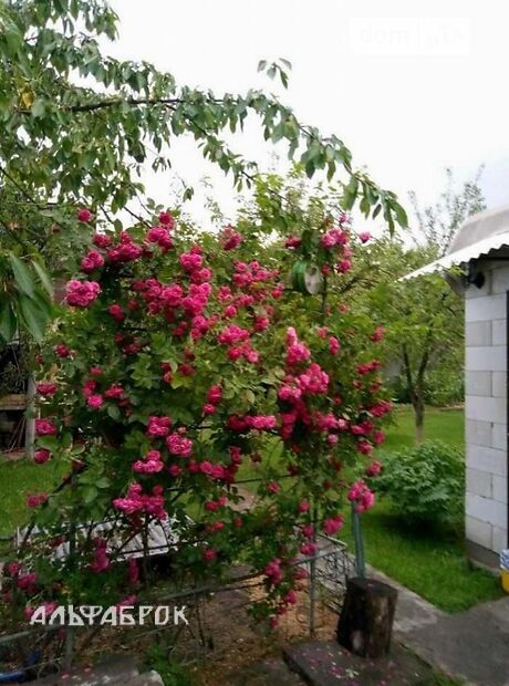 п`ятикімнатна дача, 140 кв. м, кирпич. Продаж в Києві, в районі Осокорки фото 1 п`ятикімнатна дача, 140 кв. м, кирпич. Продаж в Києві, в районі Осокорки фото 1