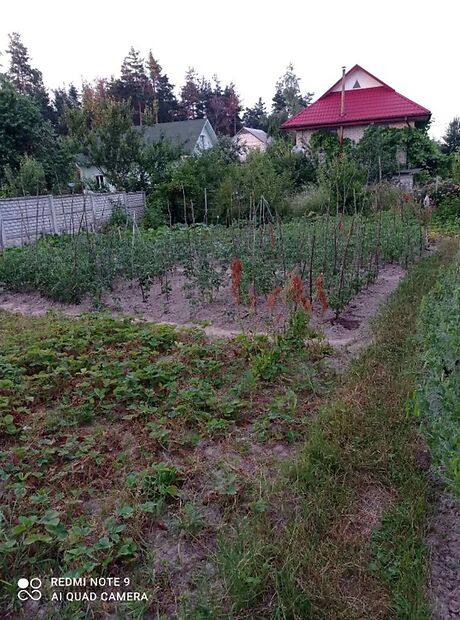 трехкомнатная дача c мансардным этажом, 90 кв. м, кирпич. Продажа в Тарасовке (Киевская обл.) фото 1 трехкомнатная дача c мансардным этажом, 90 кв. м, кирпич. Продажа в Тарасовке (Киевская обл.) фото 1
