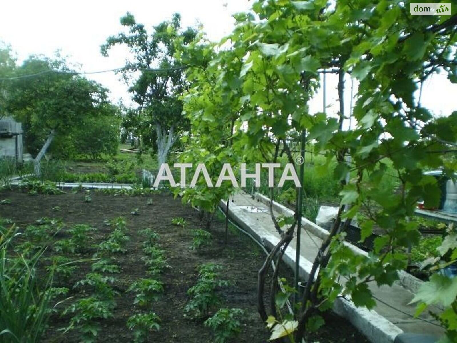 двоповерховий будинок бесідка, 130 кв. м, ракушечник (ракушняк). Продаж в undefined (Одеська обл.) фото 1 двоповерховий будинок бесідка, 130 кв. м, ракушечник (ракушняк). Продаж в undefined (Одеська обл.) фото 1