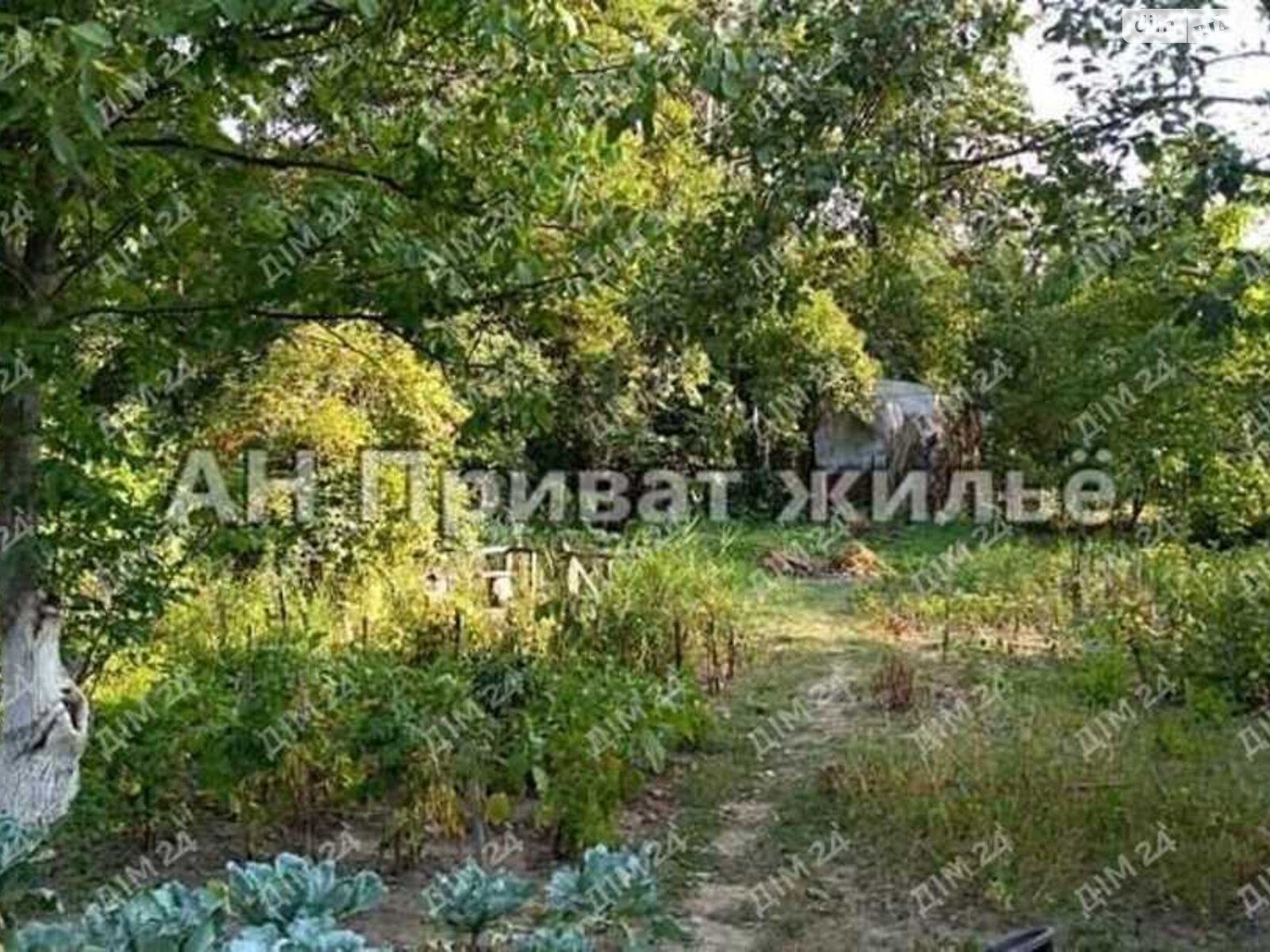 одноповерховий будинок, 33 кв. м, цегла. Продаж в Полтаві, район Вороніна фото 1