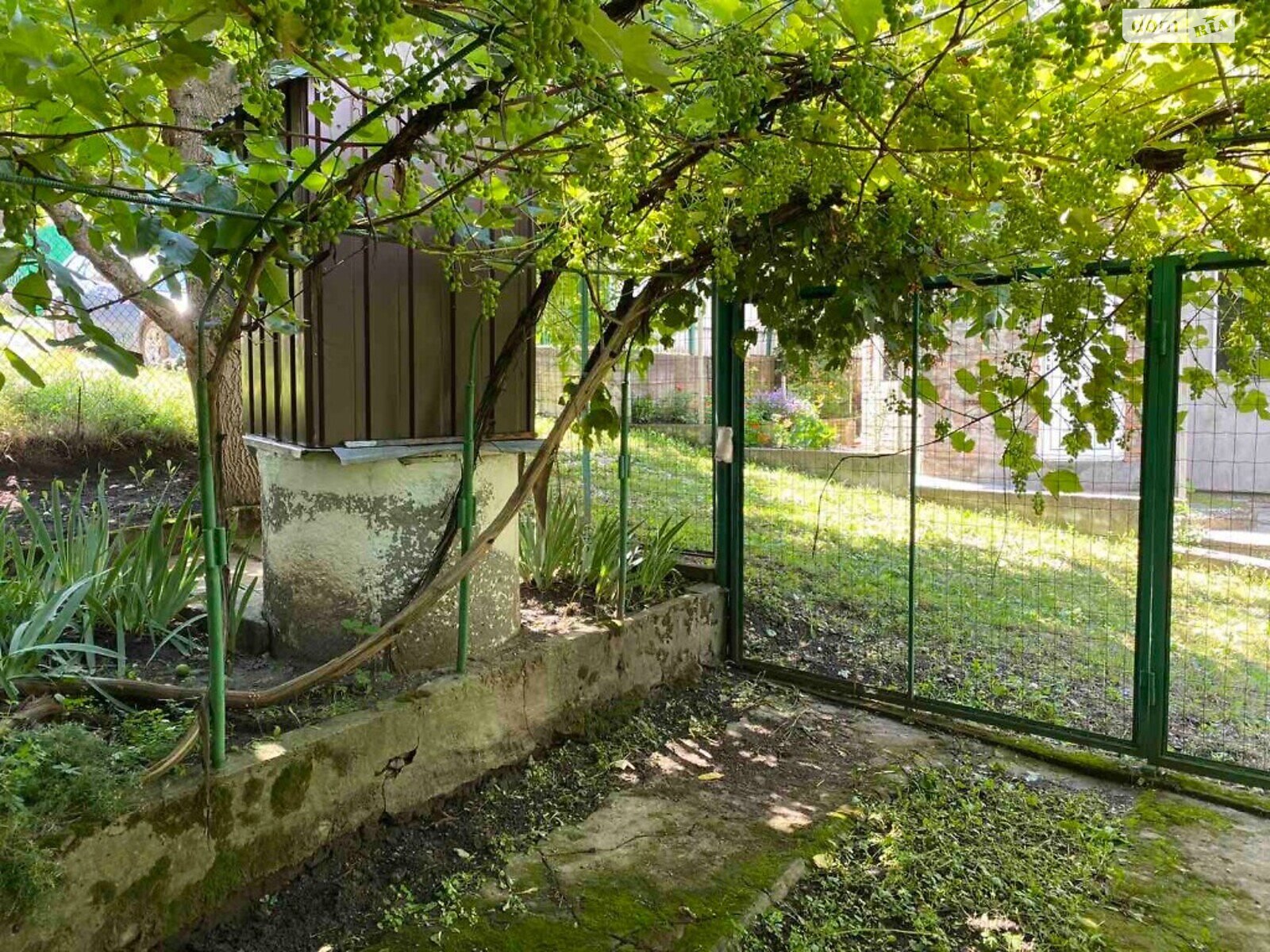 двоповерховий будинок, 47 кв. м, цегла. Продаж у Ружичанці фото 1