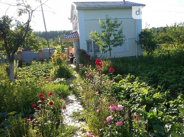 трехкомнатная дача, 62 кв. м, кирпич. Продажа в Бездрике (Сумская обл.) фото 1 трехкомнатная дача, 62 кв. м, кирпич. Продажа в Бездрике (Сумская обл.) фото 1