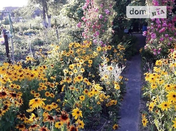 однокомнатная дача, 16 кв. м, кирпич. Продажа в Червоном (Сумская обл.) фото 1 однокомнатная дача, 16 кв. м, кирпич. Продажа в Червоном (Сумская обл.) фото 1