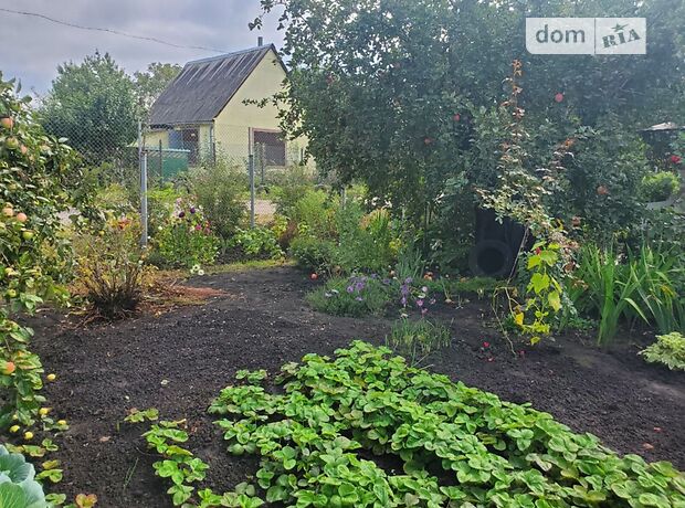 однокімнатна дача з мансардним поверхом, 20 кв. м, цегла. Продаж в Сумах, в районі Ковпаковський фото 1 однокімнатна дача з мансардним поверхом, 20 кв. м, цегла. Продаж в Сумах, в районі Ковпаковський фото 1