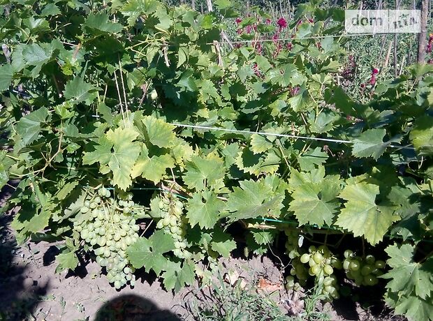 однокомнатная дача c мансардным этажом, 20 кв. м, кирпич. Продажа в Сумах, в районе Ганновка фото 1 однокомнатная дача c мансардным этажом, 20 кв. м, кирпич. Продажа в Сумах, в районе Ганновка фото 1