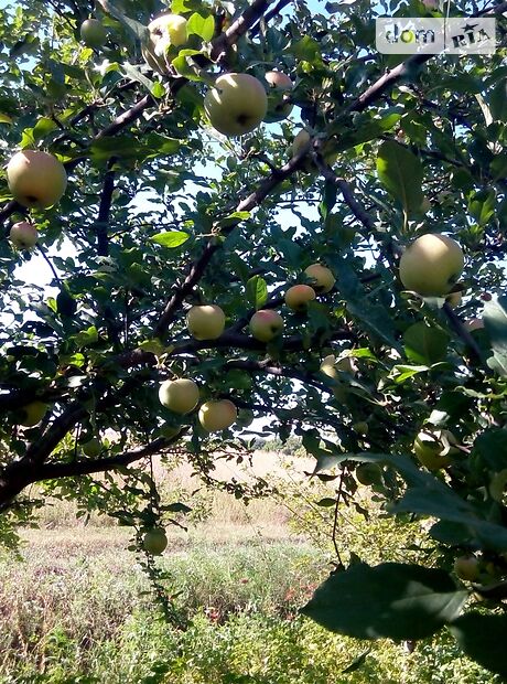 однокомнатная дача c мансардным этажом, 20 кв. м, кирпич. Продажа в Сумах, в районе Ганновка фото 1 однокомнатная дача c мансардным этажом, 20 кв. м, кирпич. Продажа в Сумах, в районе Ганновка фото 1