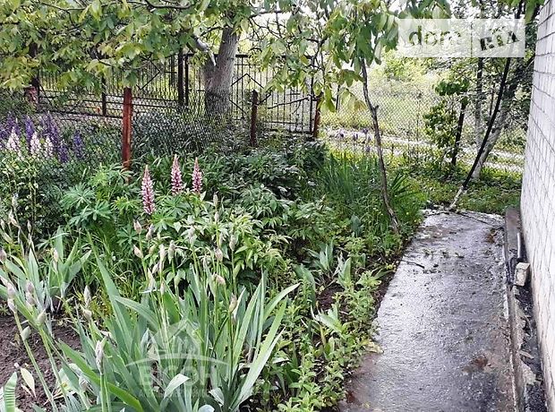 однокомнатная дача с цокольным этажом, 50 кв. м, кирпич. Продажа в Буцневе (Тернопольская обл.) фото 1 однокомнатная дача с цокольным этажом, 50 кв. м, кирпич. Продажа в Буцневе (Тернопольская обл.) фото 1