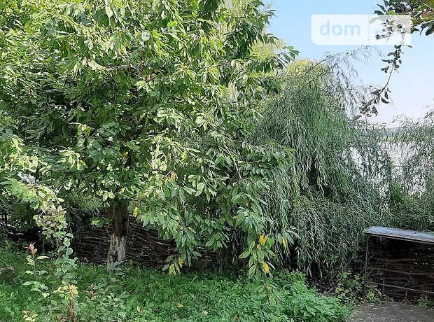 трехкомнатная дача с цокольным этажом, 160 кв. м, кирпич. Продажа в Ивачеву Горишнему (Тернопольская обл.) фото 1 трехкомнатная дача с цокольным этажом, 160 кв. м, кирпич. Продажа в Ивачеву Горишнему (Тернопольская обл.) фото 1