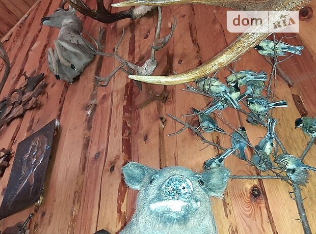 трехкомнатная дача с цокольным этажом, 160 кв. м, кирпич. Продажа в Ивачеву Горишнему (Тернопольская обл.) фото 1 трехкомнатная дача с цокольным этажом, 160 кв. м, кирпич. Продажа в Ивачеву Горишнему (Тернопольская обл.) фото 1