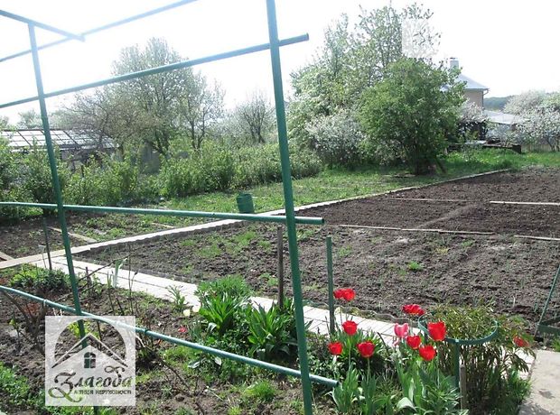 однокомнатная дача, 20 кв. м, дерево и кирпич. Продажа в Петрикове (Тернопольская обл.) фото 1 однокомнатная дача, 20 кв. м, дерево и кирпич. Продажа в Петрикове (Тернопольская обл.) фото 1