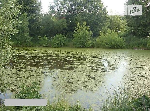 четырехкомнатная дача с цокольным этажом, 155 кв. м, кирпич. Продажа в Смиковци (Тернопольская обл.) фото 1 четырехкомнатная дача с цокольным этажом, 155 кв. м, кирпич. Продажа в Смиковци (Тернопольская обл.) фото 1