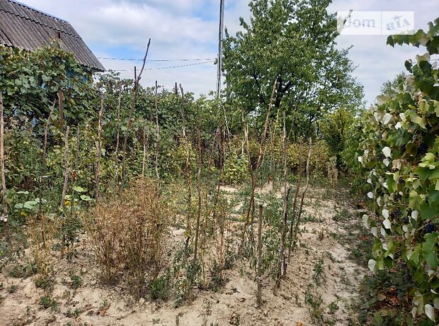 однокомнатная дача, 14 кв. м, сруб. Продажа в Ореховице (Закарпатская обл.) фото 1 однокомнатная дача, 14 кв. м, сруб. Продажа в Ореховице (Закарпатская обл.) фото 1
